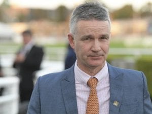 Fierce Impact on road to Villiers Stakes