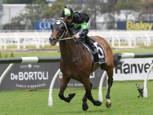 Christmas Cup goal for Pride stablemates
