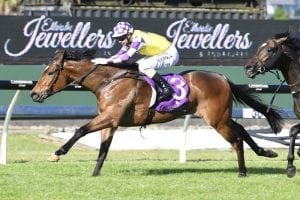 Pike holds strong hand in Otaki features