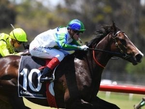 Sandown brings out the best in Gold Fields