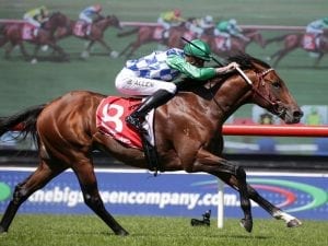 Railway Stakes temptation for Fifty Stars