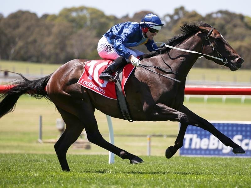 Noel Callow rides Persuader to win race 3 at Sandown