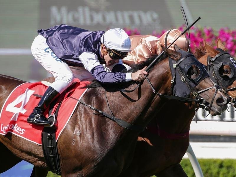 Ben Melham rides The Taj Mahal (blue and white cap) to win race 8