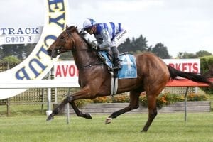 Bright future for well-related Supera