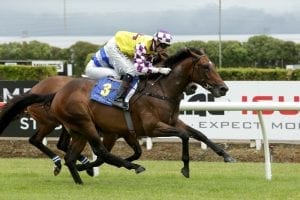 Promising pair provide early Te Rapa action
