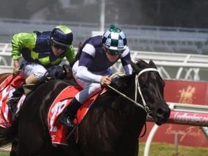 Eurack ready to bounce back at The Valley