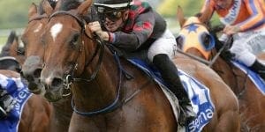 Volpe Veloce Railway NZ feature