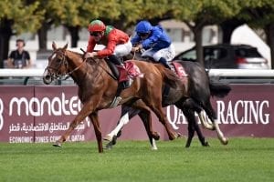 Arc fourth Waldgeist is ready to roll for Fabre in Hong Kong Vase