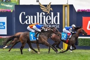 Caulfield race-by-race betting preview | Blue Diamond Stakes Day