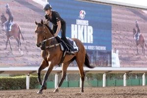 Waller’s Comin’ Through for more international challenges after HKIR