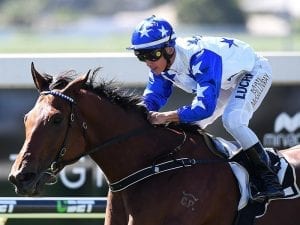 Early pace to help Havasay at Doomben