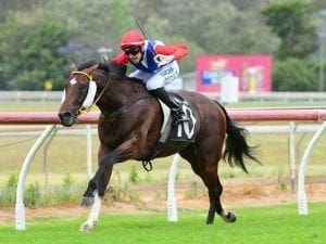 Robbie Fradd has rare ride for Ben Currie