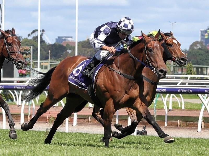 Order Of Command wins again at Flemington | Horse Betting