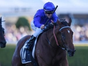 Favourite draws 12 in All-Star Mile