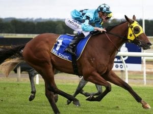 More Magic Millions aims for Bel Sonic