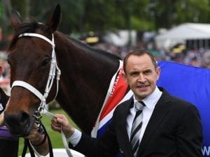 Winx getting closer to a return to racing