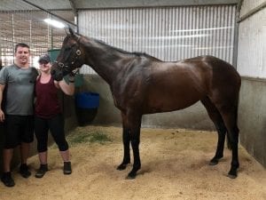 Winx back home at Chris Waller's stable