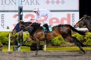 Gronkowski bound for Dubai World Cup Carnival for new trainer