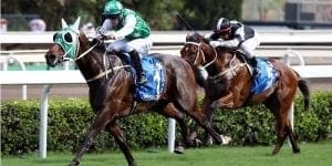 HK Champions & Chater Cup feature image