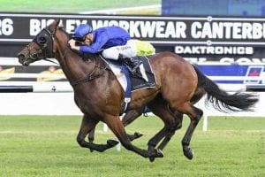 Racing Victoria set to announce three remaining All-Star Mile wildcards