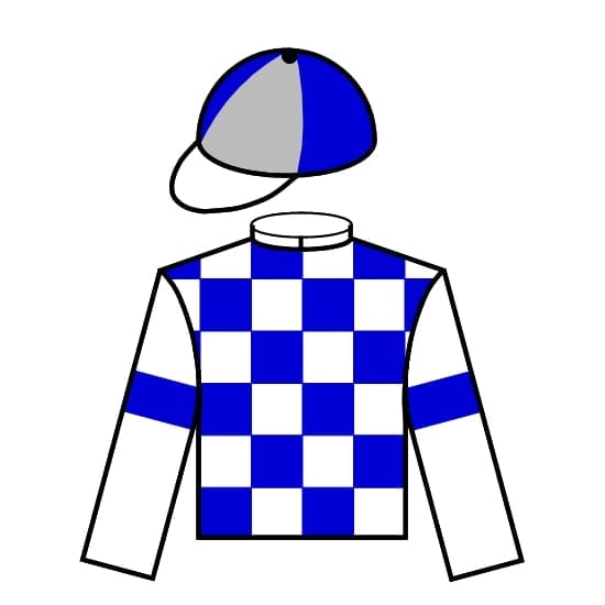 Horse/Jockey silks icon