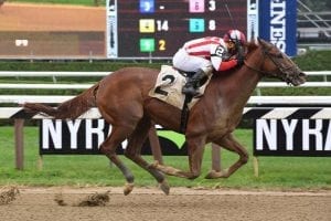 Maximus Mischief to make stakes debut in Remsen