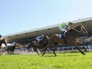 Exoteric back to best in Listed ATC Cup