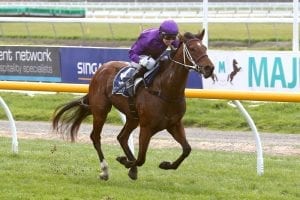 A tale of two fillies for Latta in Eulogy