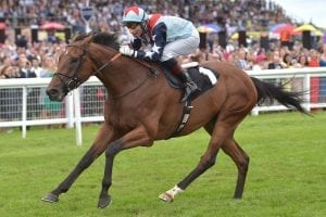 Elsworth happy to be back in Hong Kong with Sir Dancealot