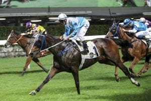 Group 1 prizes in the bag, Purton rolls on to business at the Valley