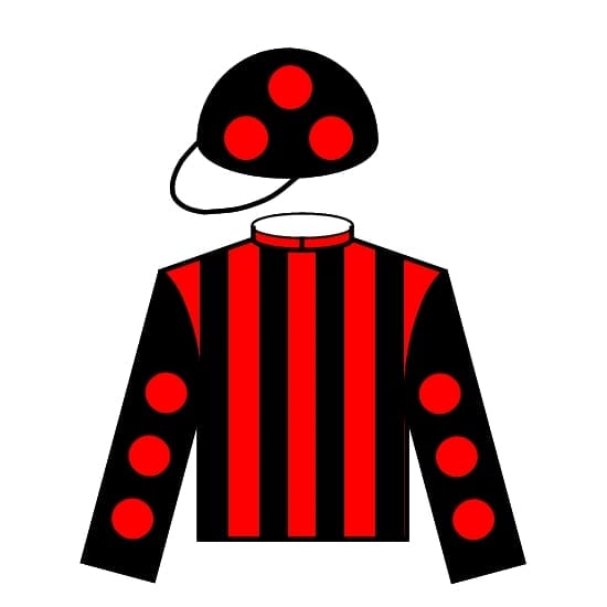 Horse/Jockey silks icon