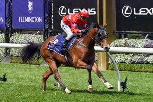 Unite And Conquer firms for Magic Millions