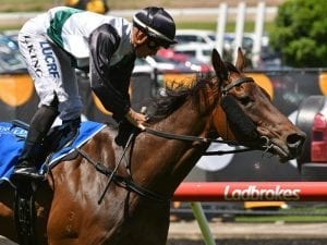 King and Lindsay Park share Valley double
