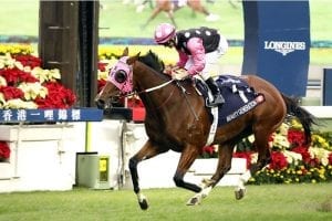 Beauty Generation and Glorious Forever impress in trial session