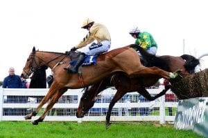 Discorama none the worse for Naas spill and in the mix for Cheltenham