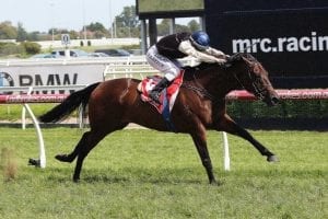 Auckland Cup possible for Etah James