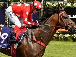 Chauffeur salutes at first start for Weir