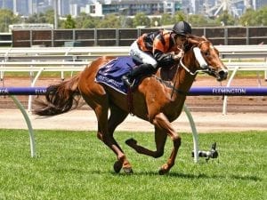 Free Of Debt could be Diamond late entry