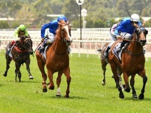 Microphone wins on debut at Flemington