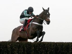 Altior wins 17th consecutive jumps race