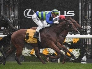 Bella Rosa to resume in Chairman's Stakes