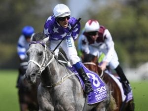 D'Argento to run in Rosehill barrier trial