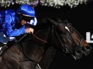 Avilius early favourite for Australian Cup