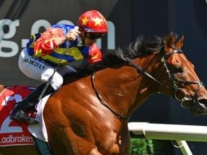 Two Flemington options for Rock 'n' Gold