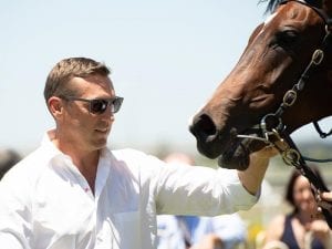 Gollan-trained pair trial well at Doomben