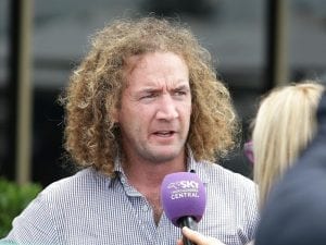 Ciaron Maher Racing opens Sydney stable
