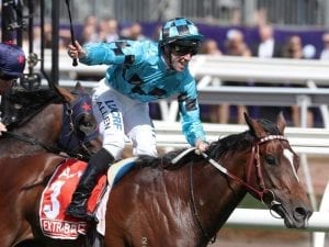 Manfred Stakes attracts 19 nominations