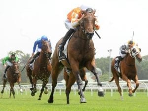 Ljungberg out of Guineas after mix-up