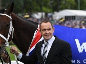 Winx named world's best horse in London