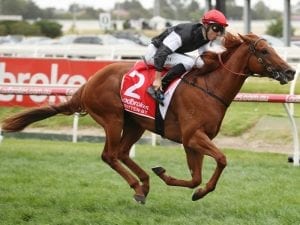 Written By pleases in Caulfield jump-out